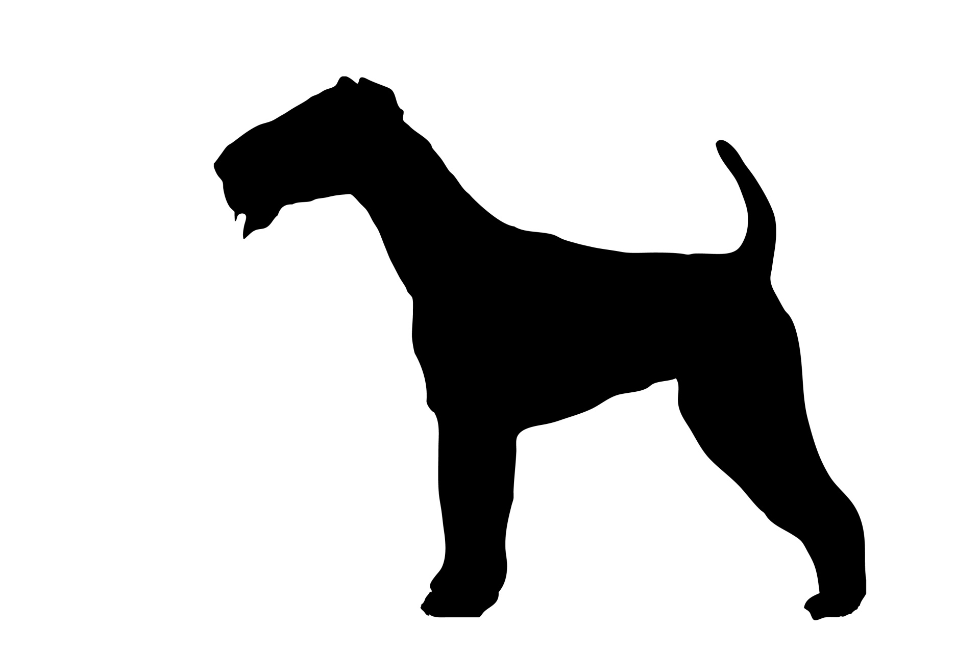 Dog, Airedale Black Silhouette Free Stock Photo - Public Domain Pictures