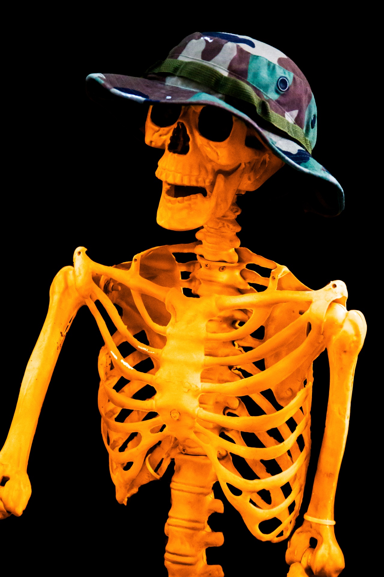 Halloween Skeleton Free Stock Photo - Public Domain Pictures