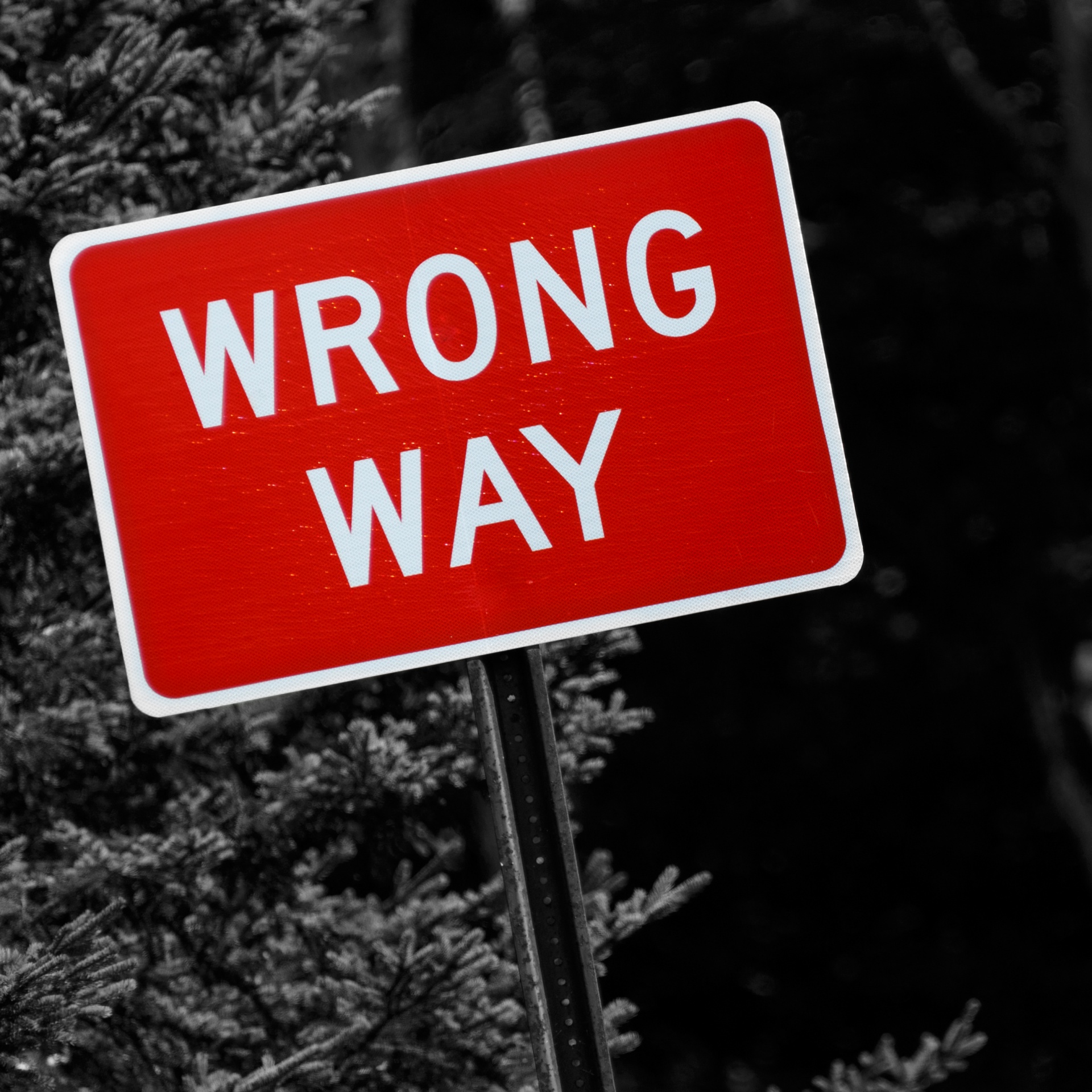 Wrong Way Sign Free Stock Photo - Public Domain Pictures