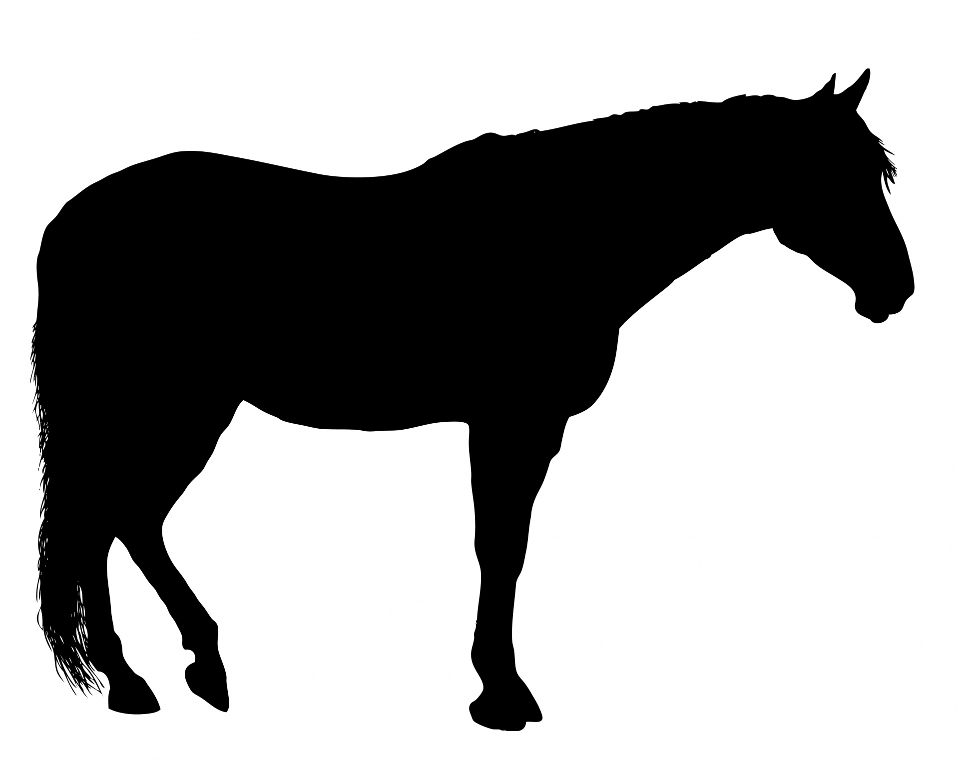 clipart of horse standing - photo #48