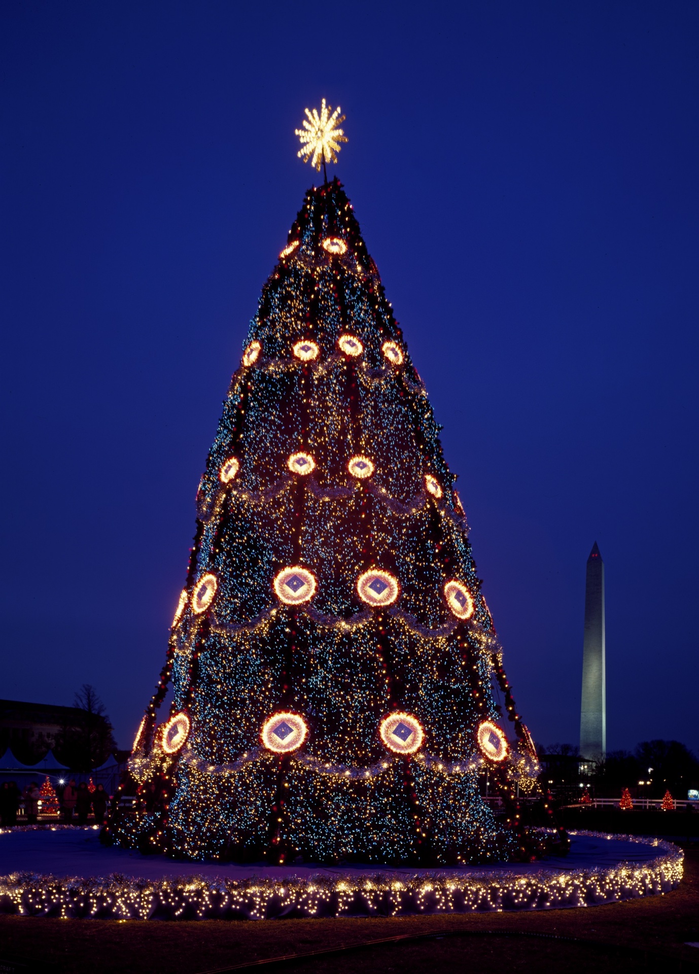 USA National Christmas Tree Free Stock Photo  Public Domain Pictures