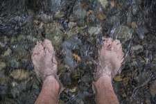 Legs Under Water