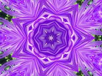 Floral Kaleidoscope Background