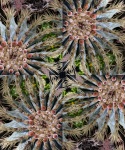 Cactus Kaleidoscope Background