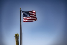 American Flag And Seguaro