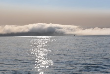 Fog On Water