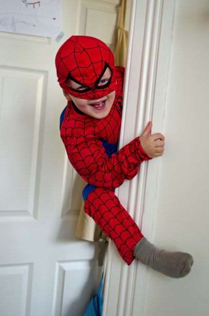 Piccolo Spiderman Immagine gratis - Public Domain Pictures