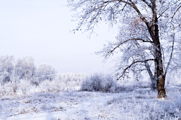 winter-landscape-1352711964uiu