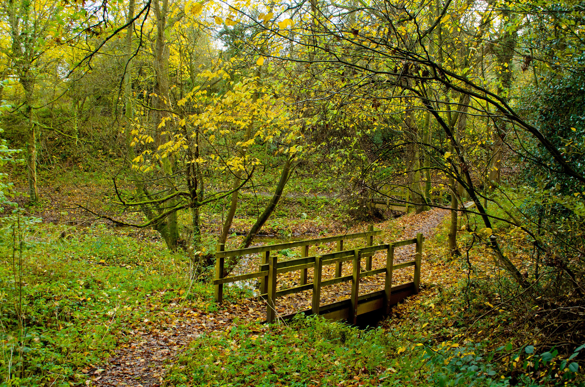 autumn-landscape-free-stock-photo-public-domain-pictures