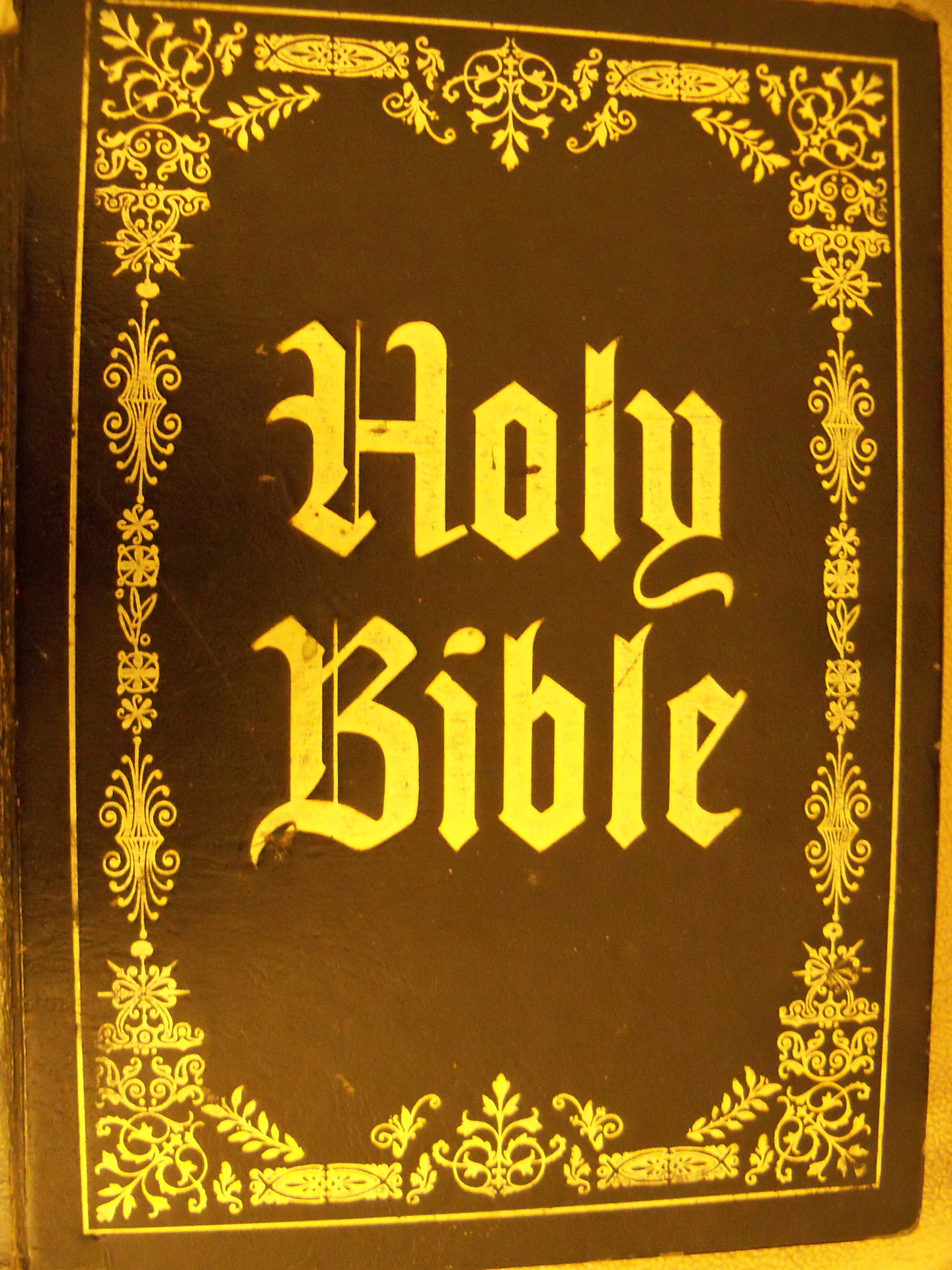 Bible Free Stock Photo - Public Domain Pictures