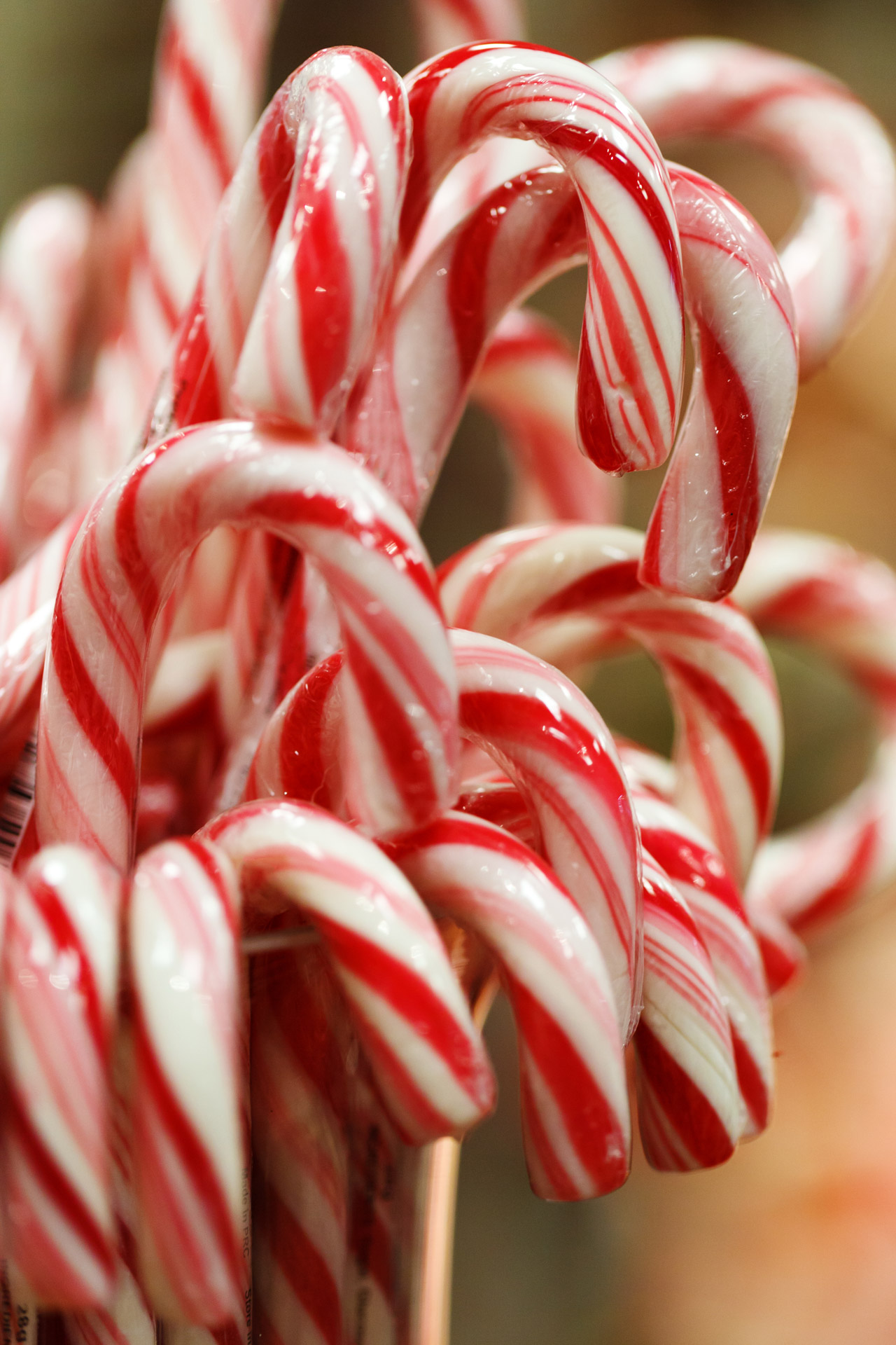 christmas-candy-canes-free-stock-photo-public-domain-pictures