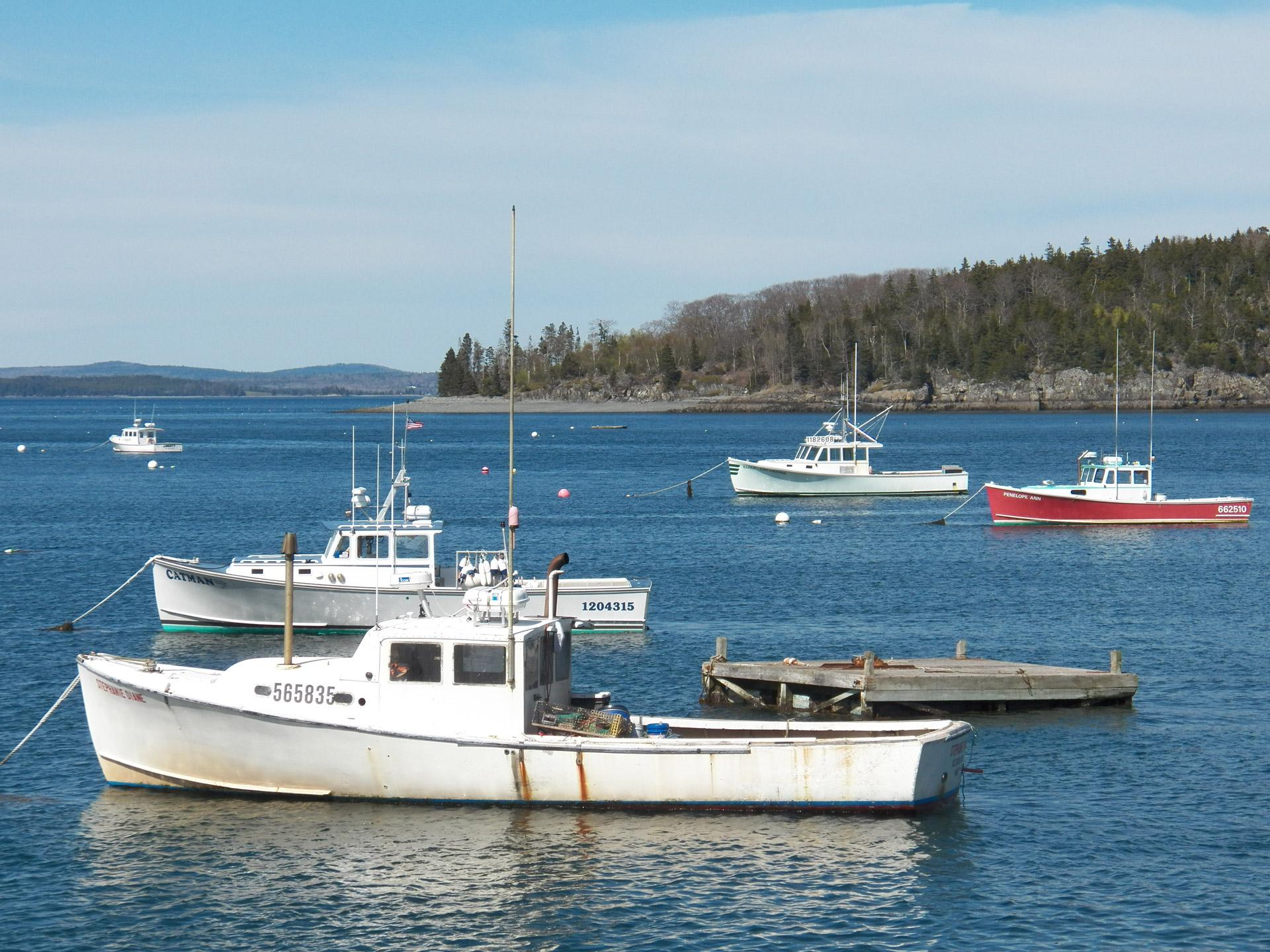 Fishing Boats Free Stock Photo - Public Domain Pictures