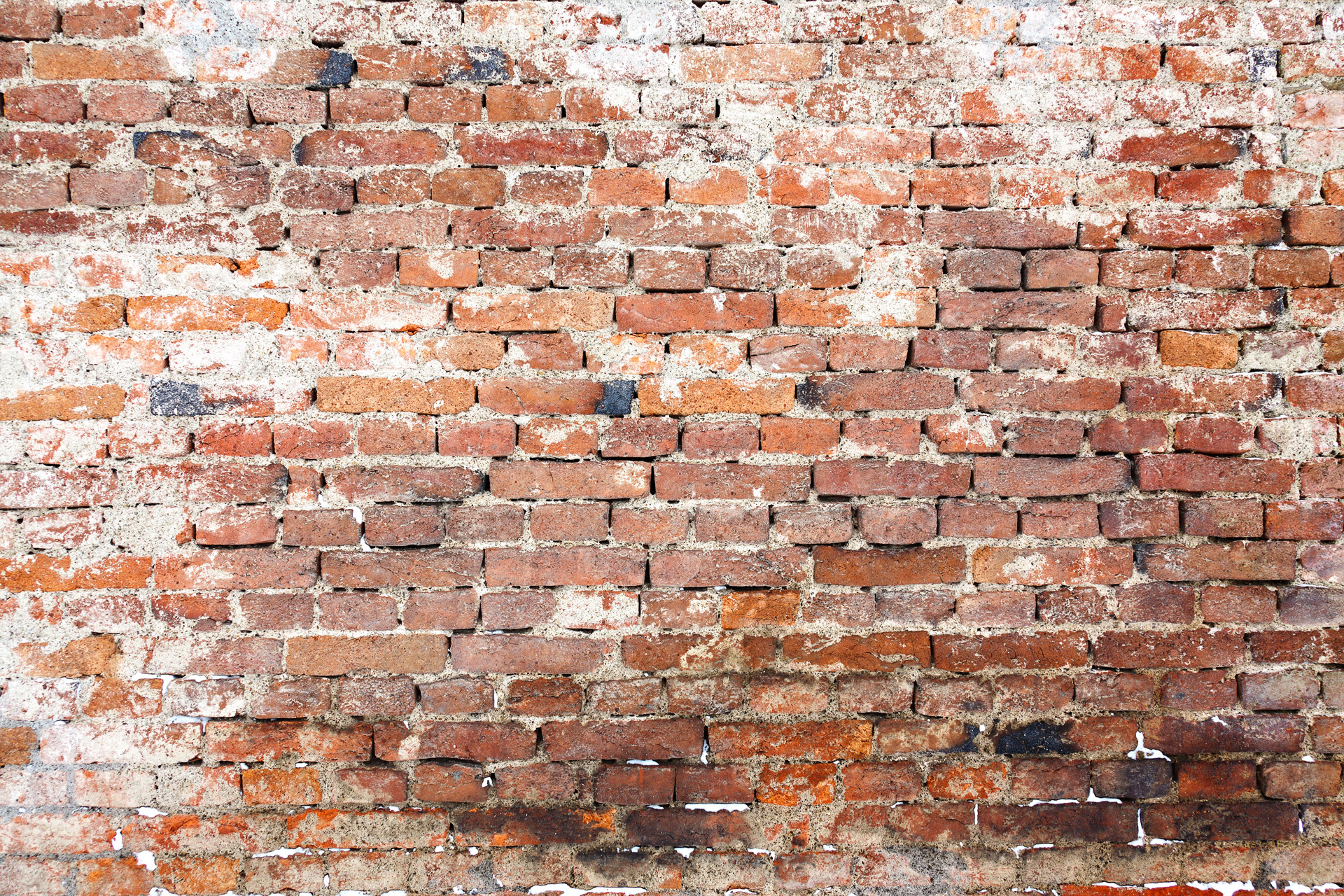 Old Brick Wall Free Stock Photo - Public Domain Pictures