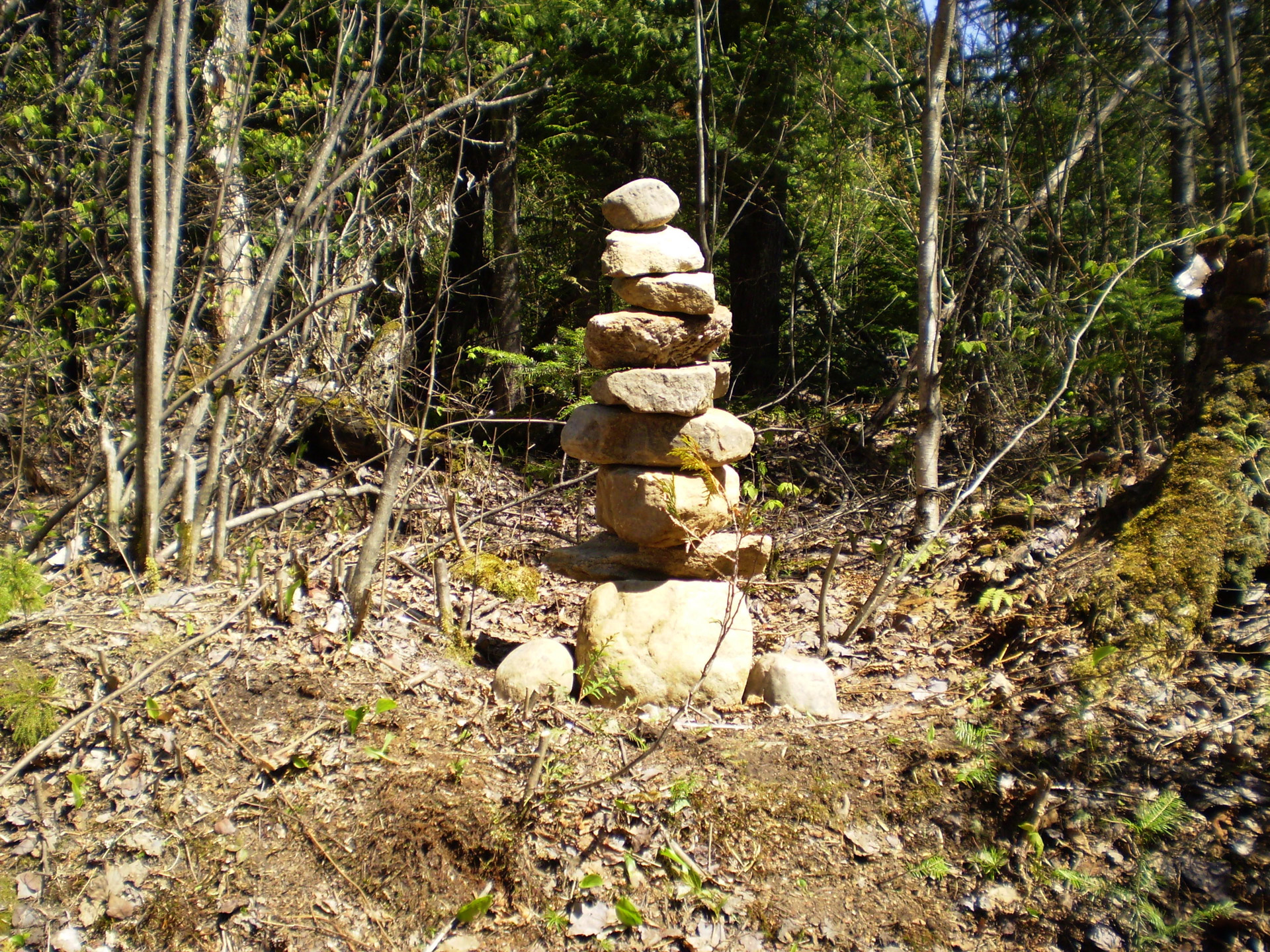 stones-in-balance-1353420755paH.jpg