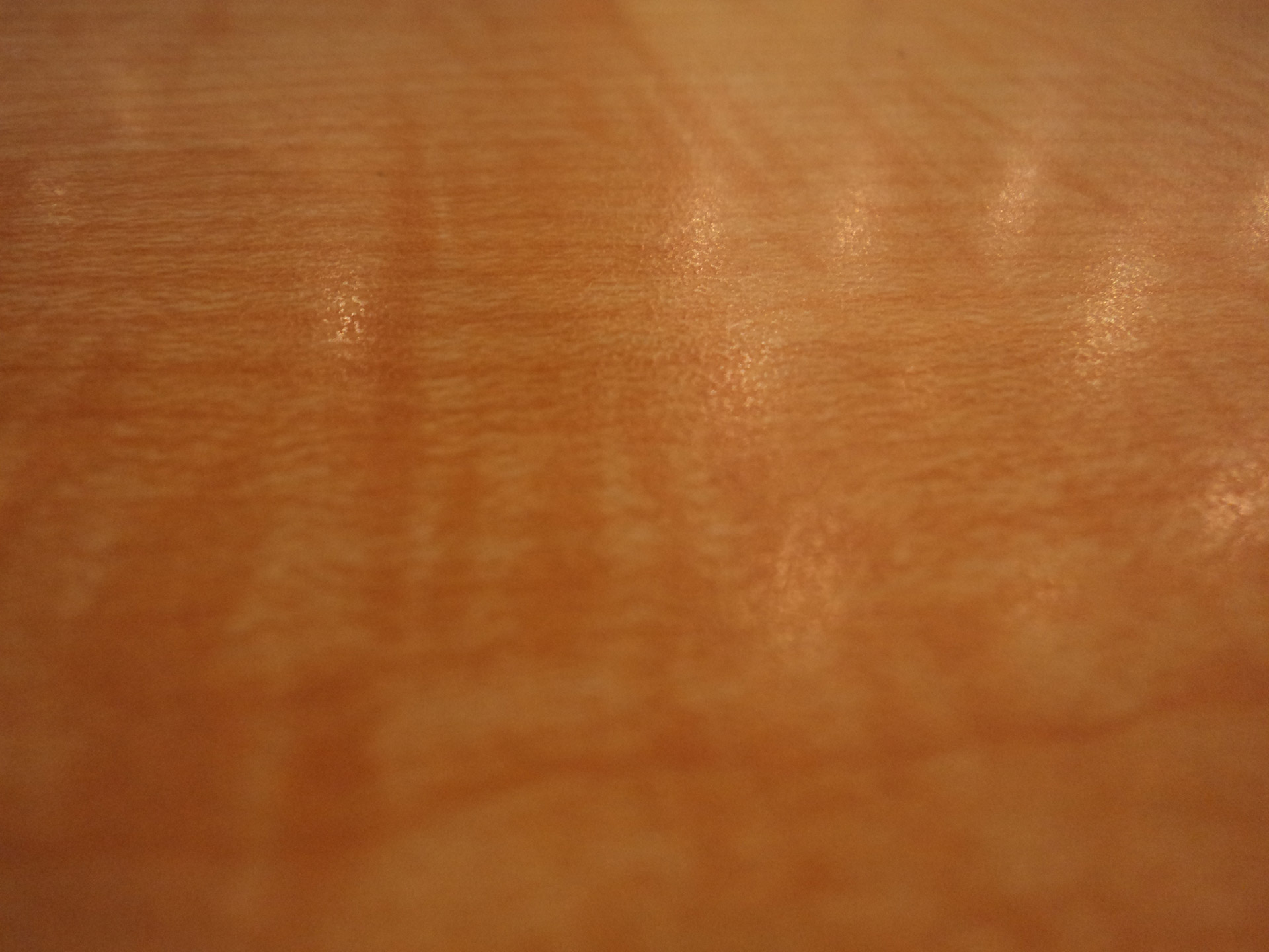 Tan Background Free Stock Photo - Public Domain Pictures