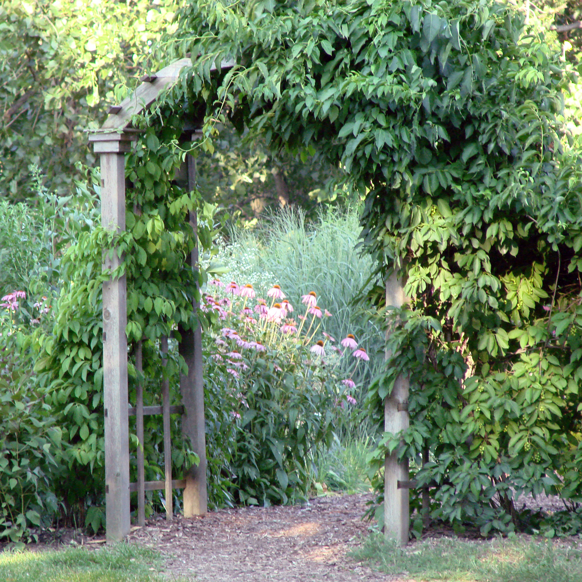 The Secret Garden Free Stock Photo - Public Domain Pictures