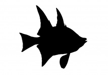 Fish Silhouette Clipart