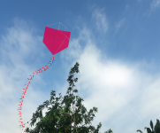 Fun With A Kite