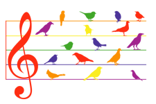Colorful Musical Birds