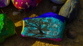 Tree Painted On Rock