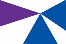Purple And Blue Triangle Modern