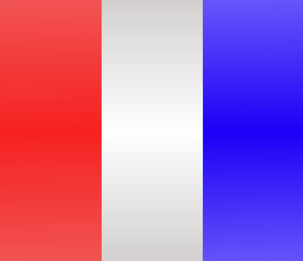 clipart bandiera francese - photo #6
