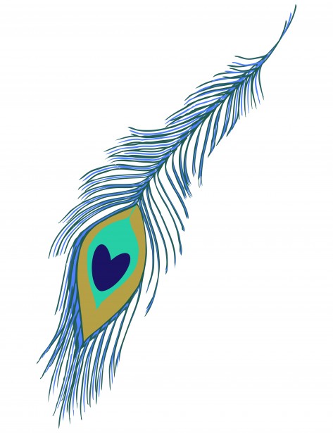 free feather clip art graphics - photo #12