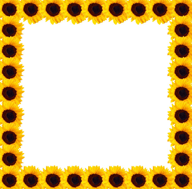 clip art borders sunflowers - photo #39