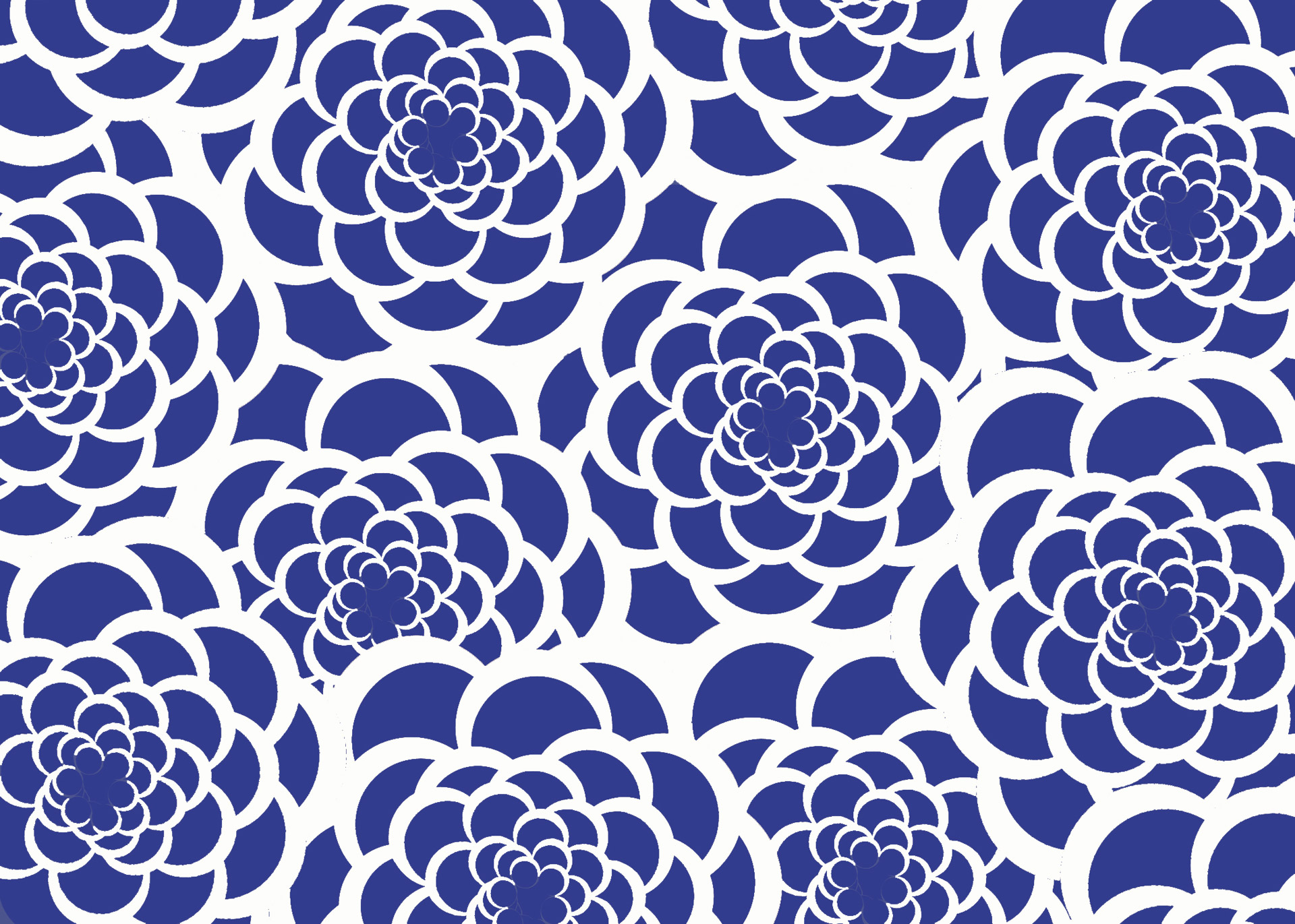 Blue & White Flower Background Free Stock Photo - Public Domain Pictures