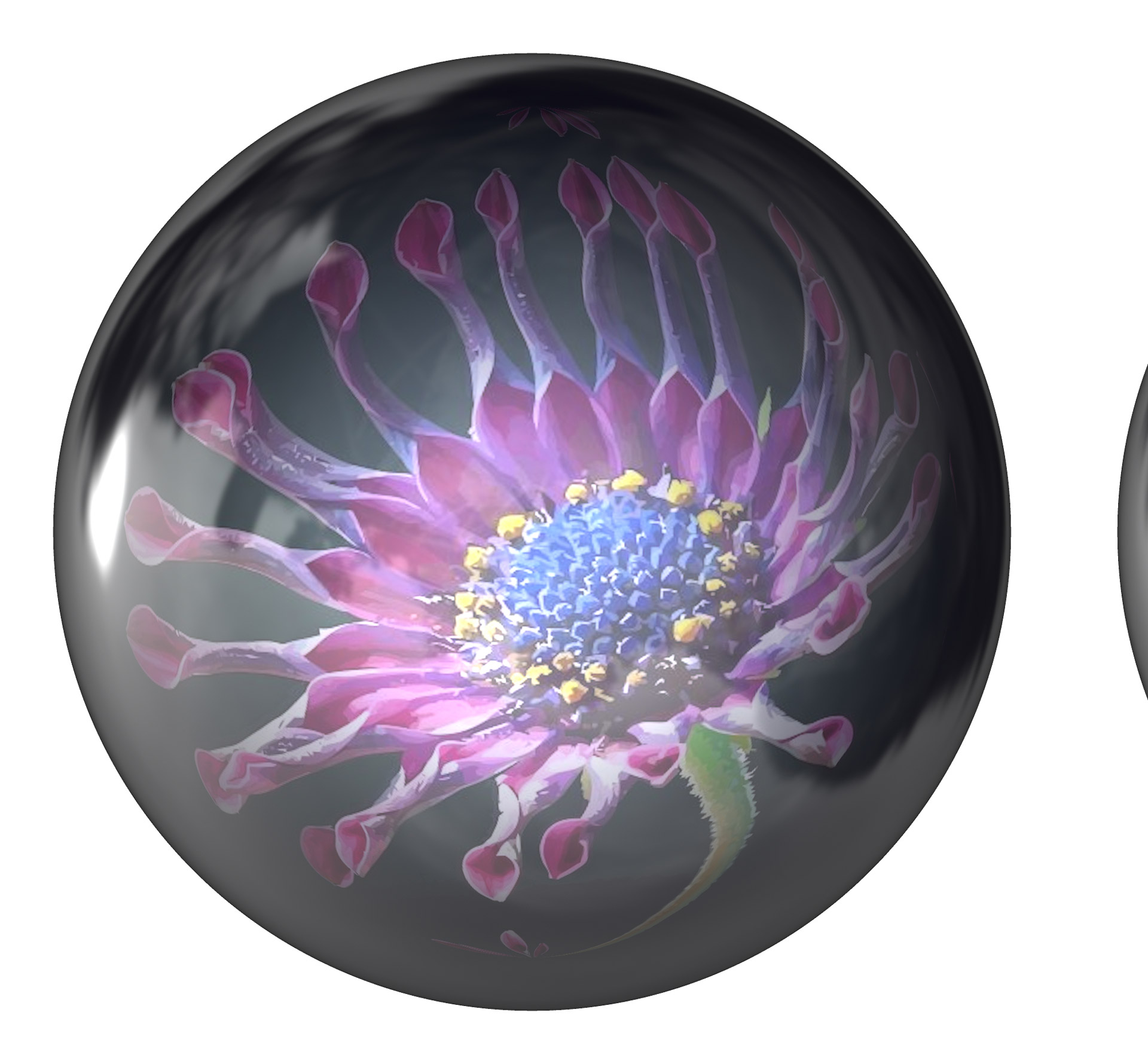 Flower In The Ball