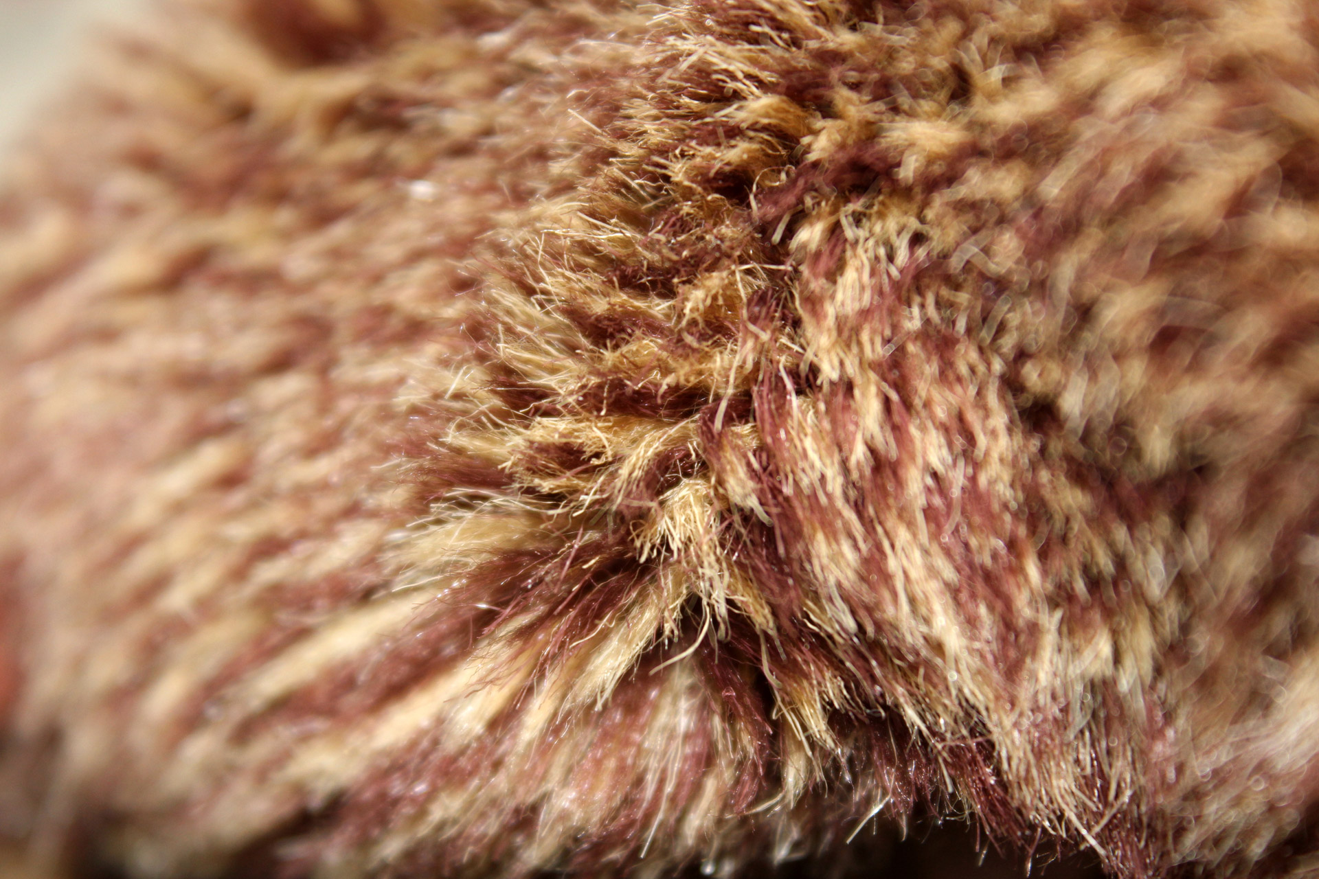 Fur Background 4 Free Stock Photo - Public Domain Pictures