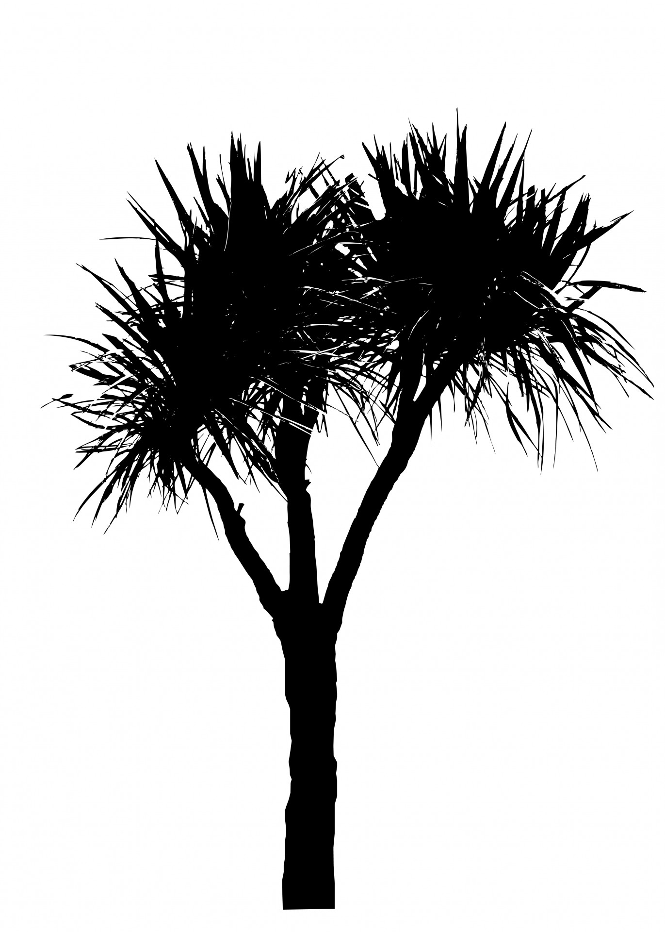 Palm Tree Black Silhouette Free Stock Photo - Public Domain Pictures