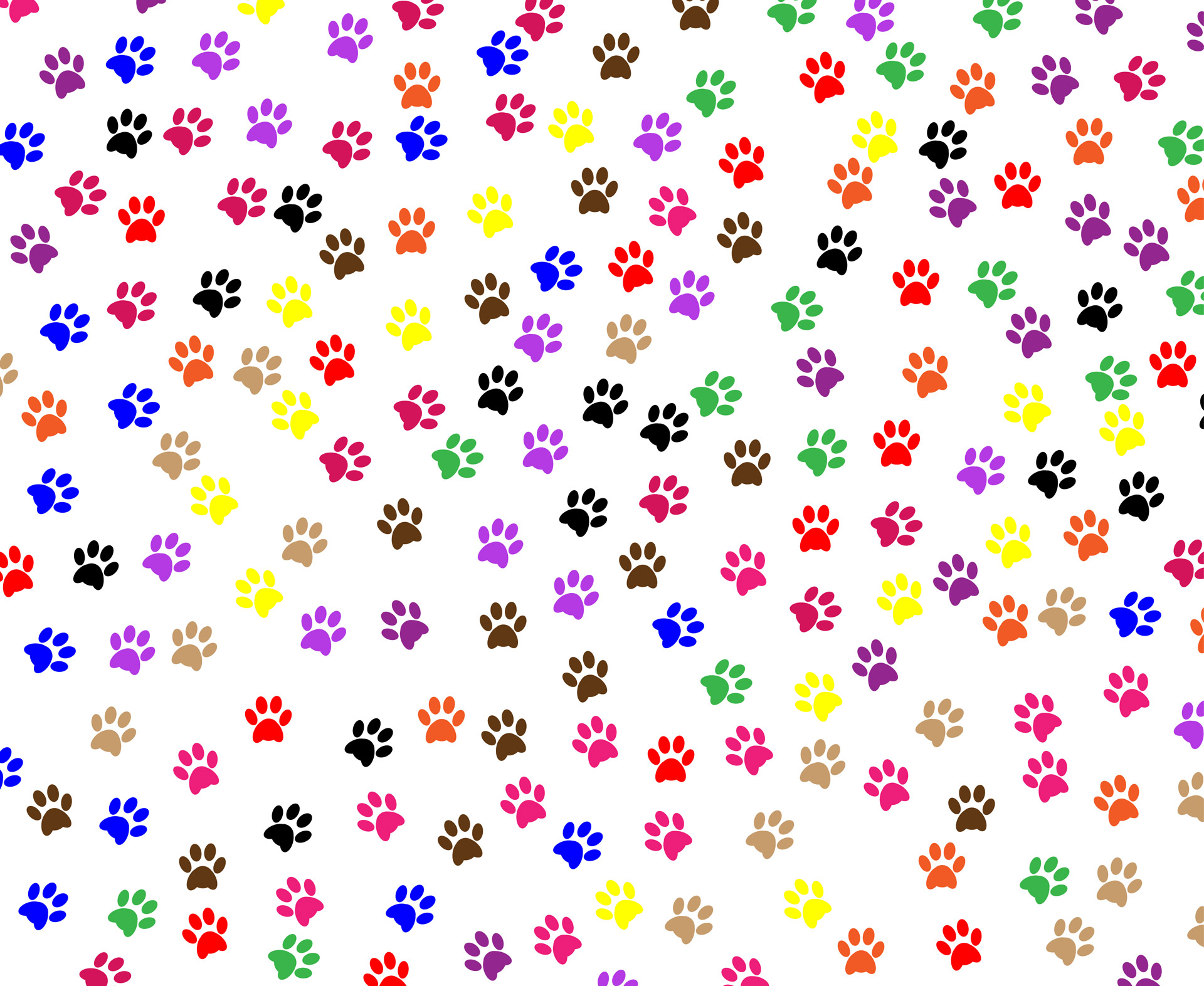 Paw Prints Background Free Stock Photo - Public Domain Pictures