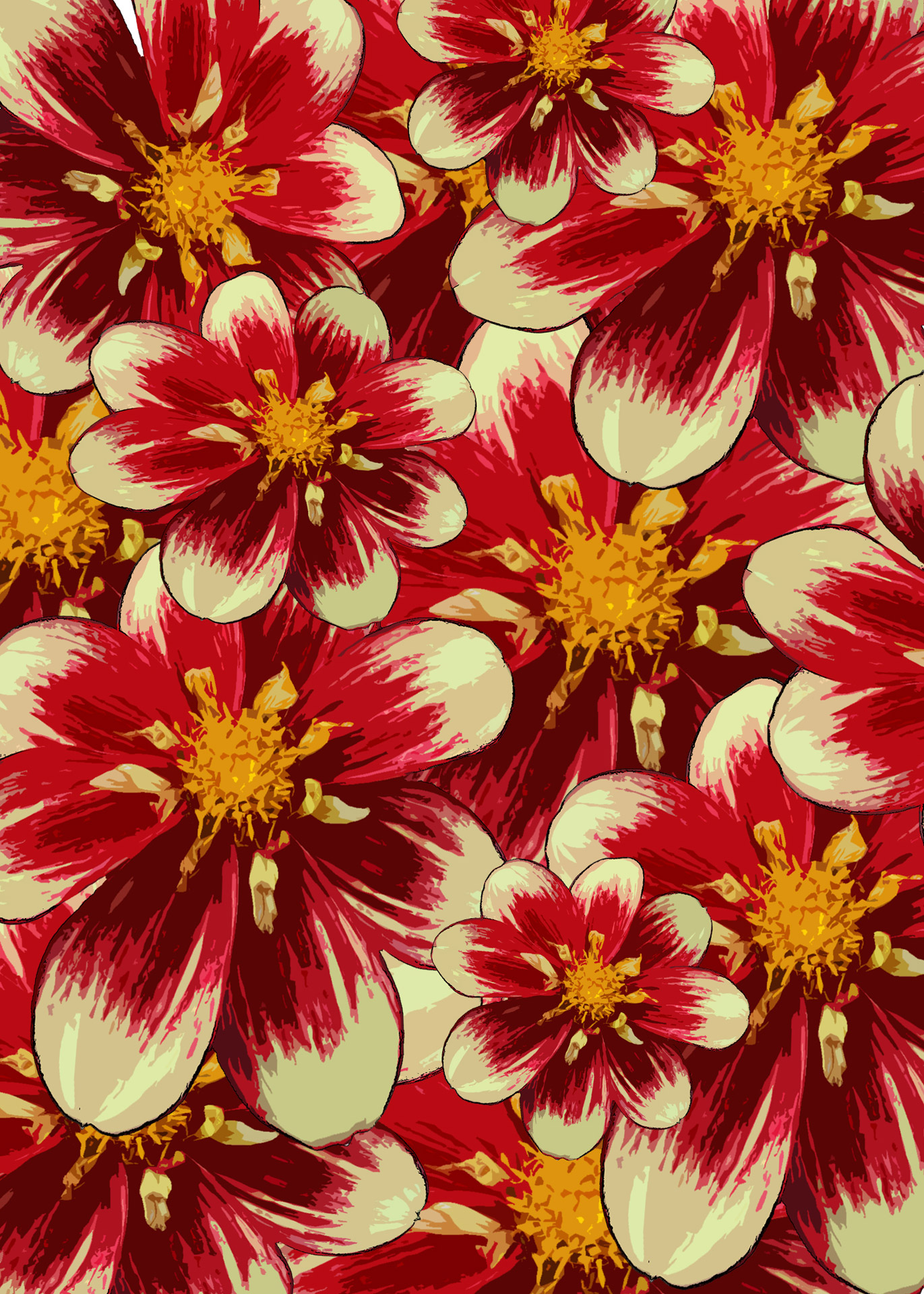 Red Flower Background Free Stock Photo - Public Domain Pictures