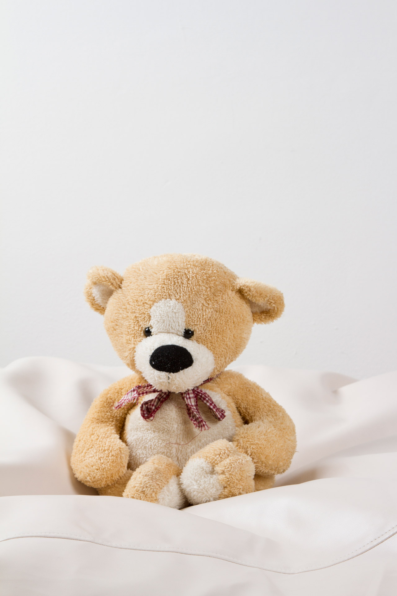 Teddy Free Stock Photo - Public Domain Pictures