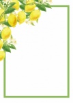 Lemons Citrus Fruit Frame