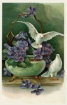 Doves Flowers Vintage Postcard