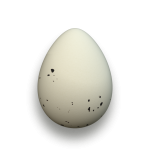Plain White Egg Png