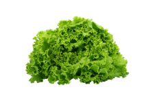 Salad Vegetables Veggie Clipart