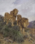 Lion Lioness Vintage Art