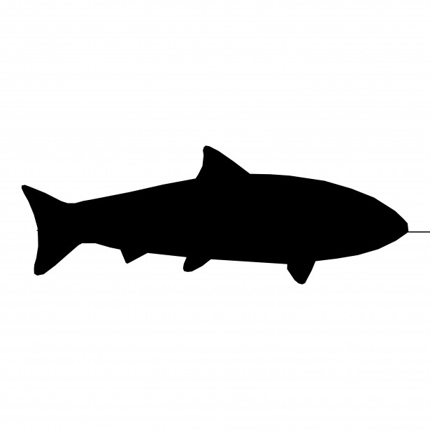 fish silhouette clip art free - photo #11
