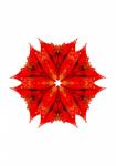 Red Patterned Kaleidoscope