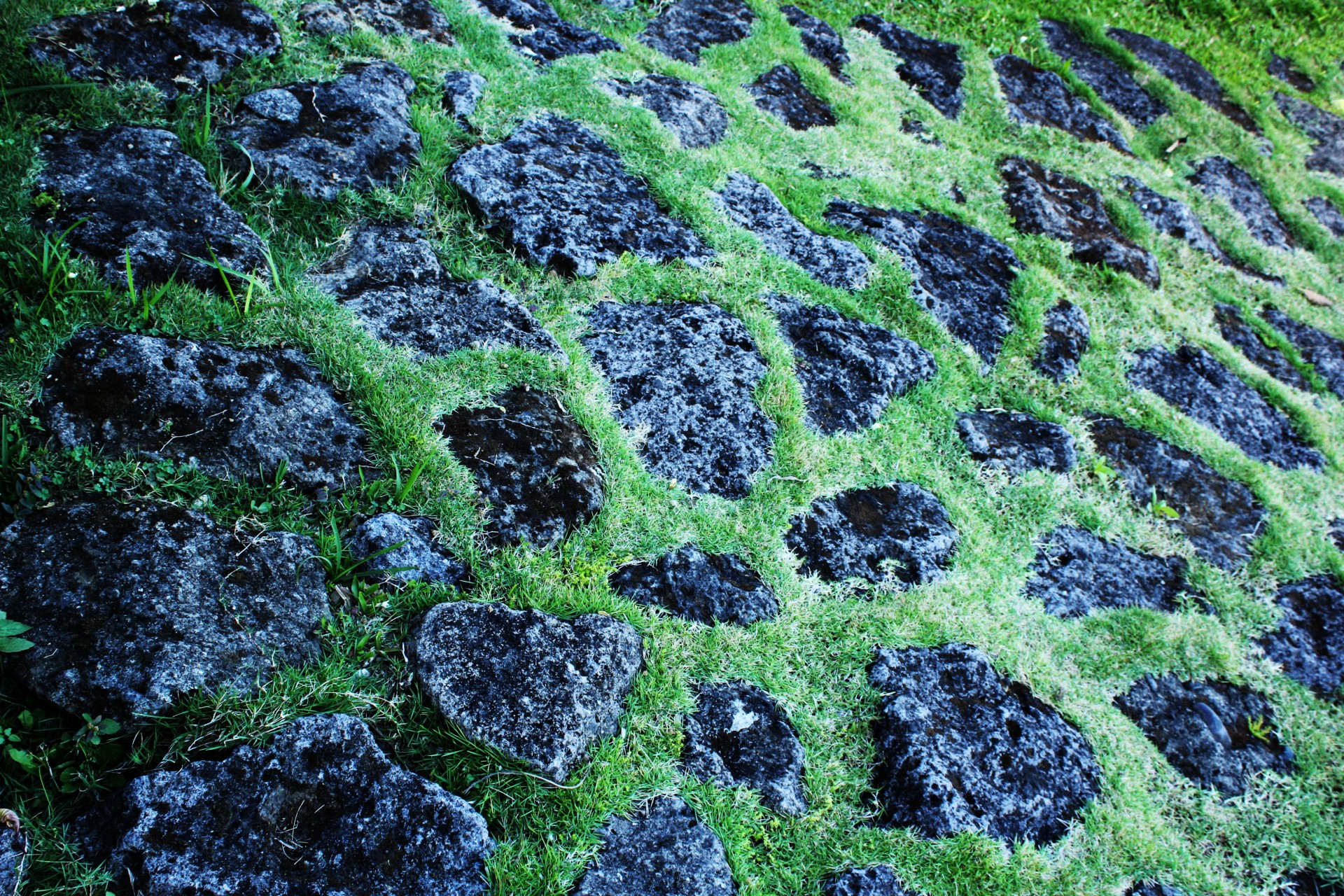 Black Stone And Grass Pattern