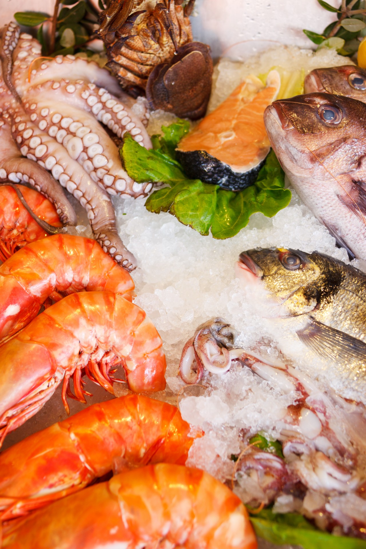 Fresh Seafood Free Stock Photo - Public Domain Pictures