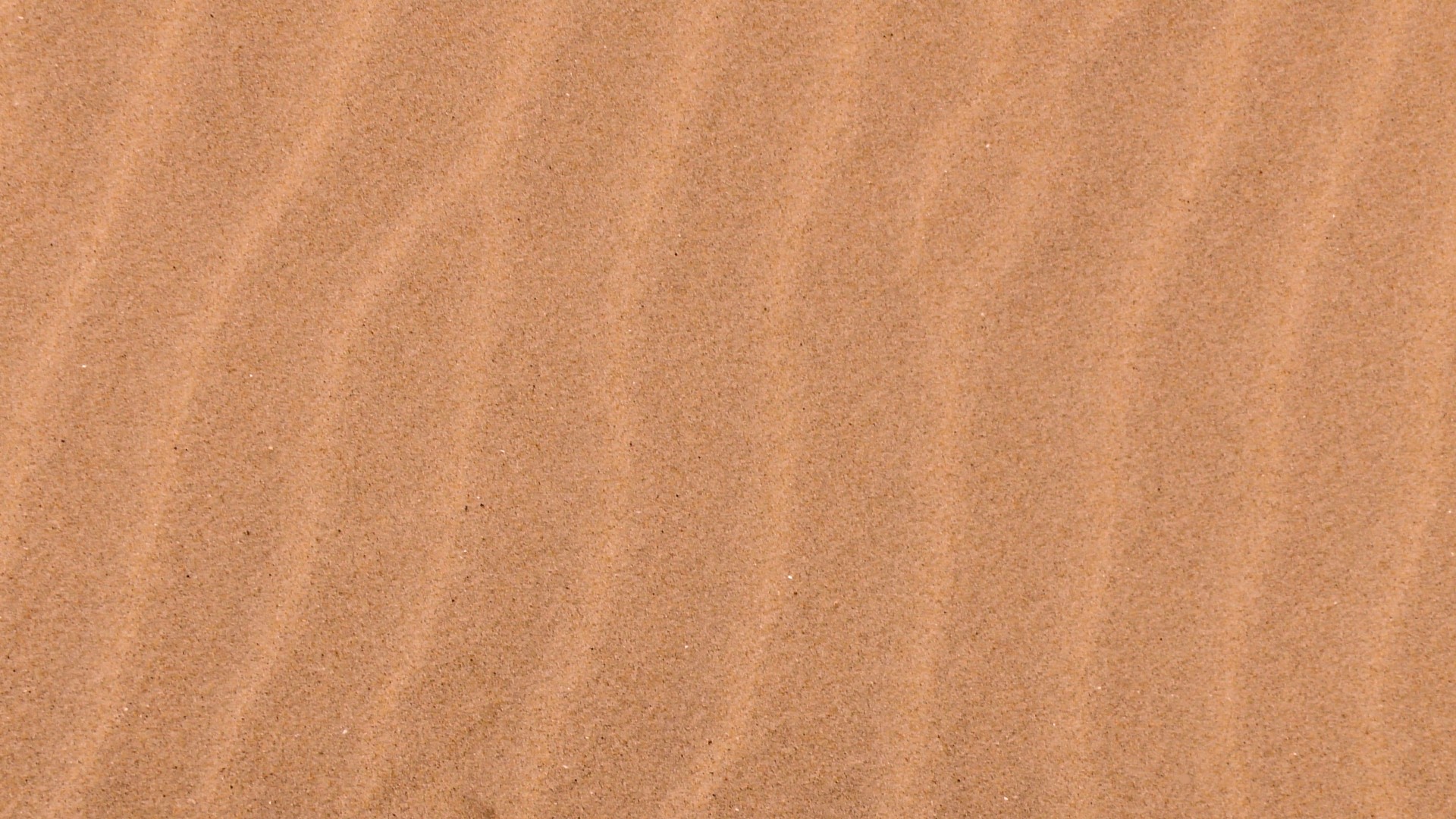 Ripples Of Sand
