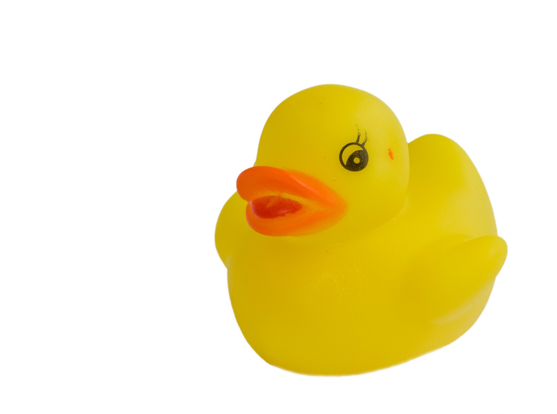 yellow duckling clipart - photo #17