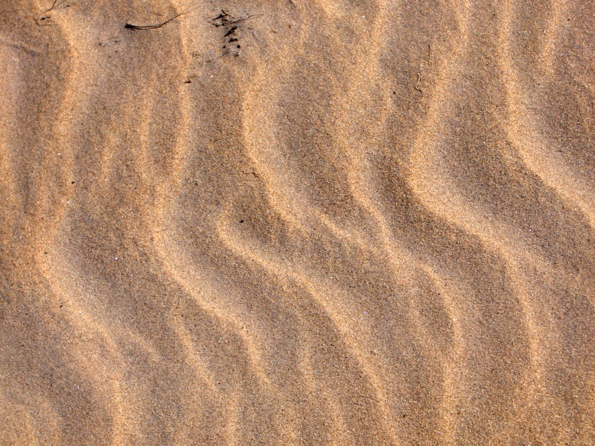 Sand Beach (3)