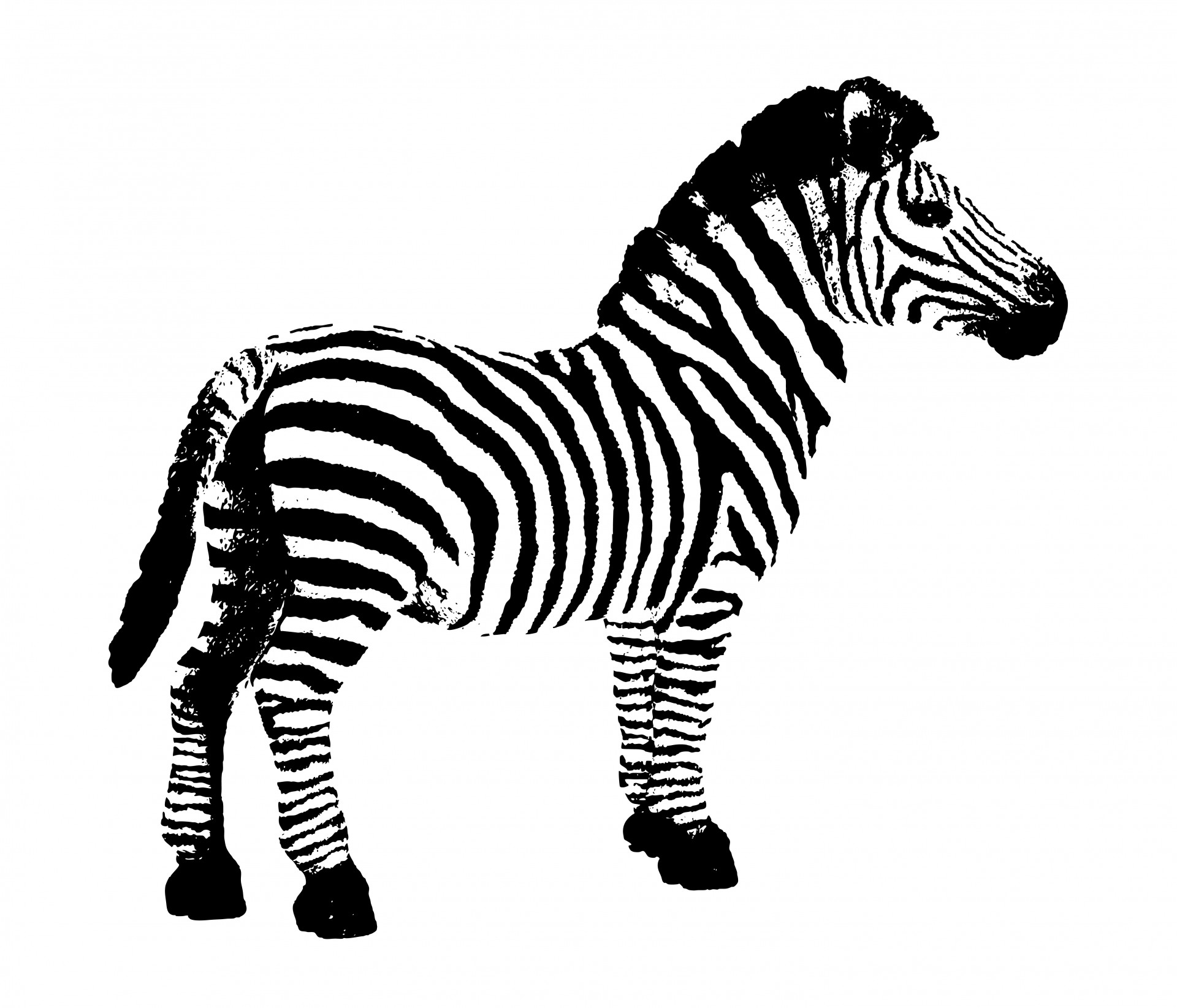 clipart zebra black and white - photo #5