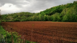 Plowed Field And Green Hills