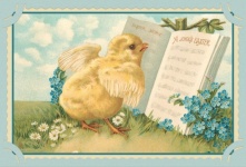 Vintage Easter Chick Card